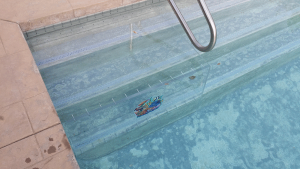 Invisible pool wall