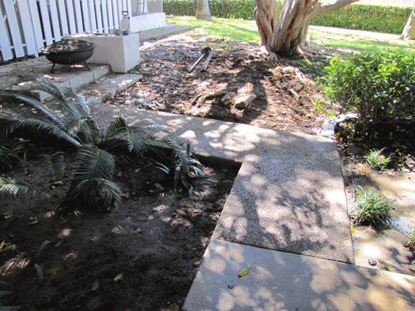 Sidewalk after removal and replacement